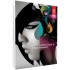  CS6 Adobe Design Standard Box Product Windows Student Teacher Edition 1 User 