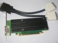  Quadro NVS290 (DVI) 